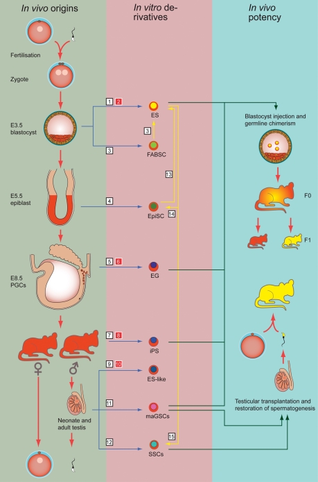 Figure 2