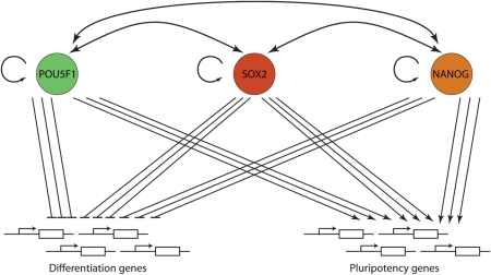 Figure 6