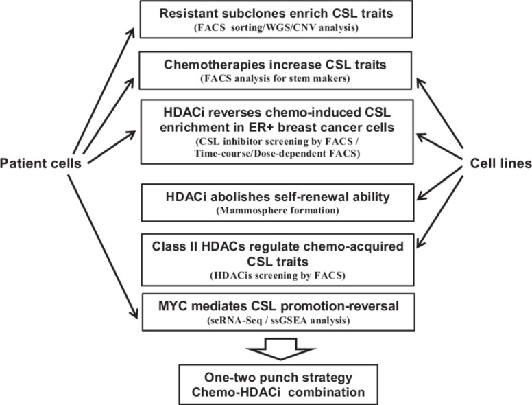 Image, graphical abstract