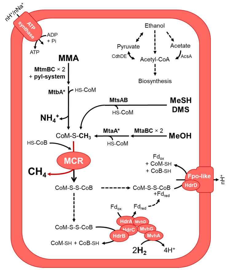 Figure 5