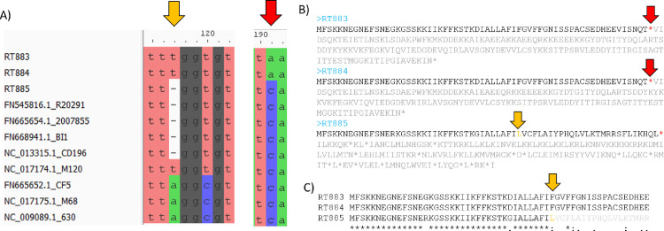 Fig 4