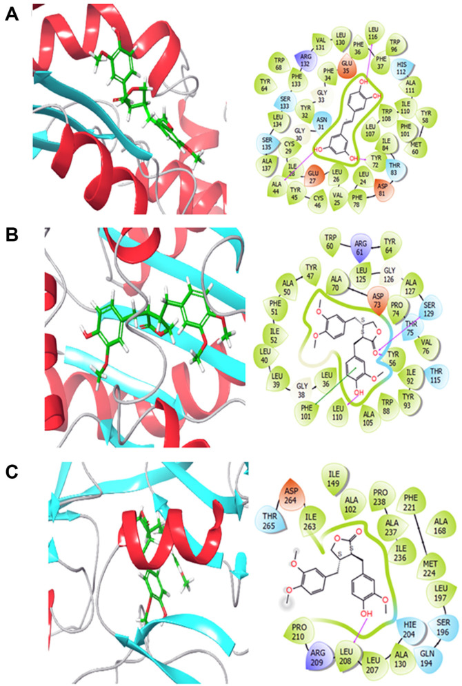 Fig. 7