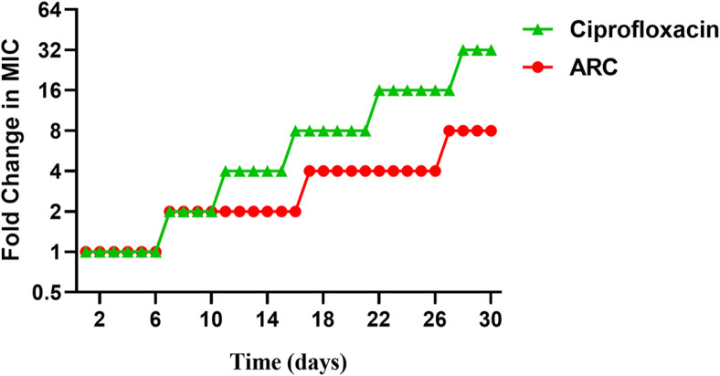 Fig. 4