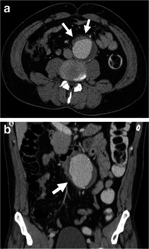 Fig. 8