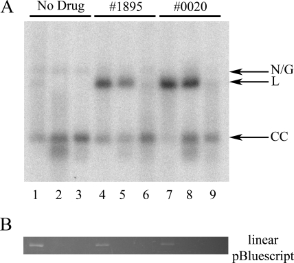 FIG. 4.