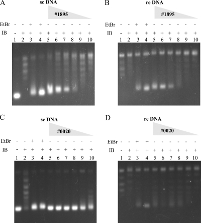 FIG. 6.