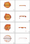 Fig. 4