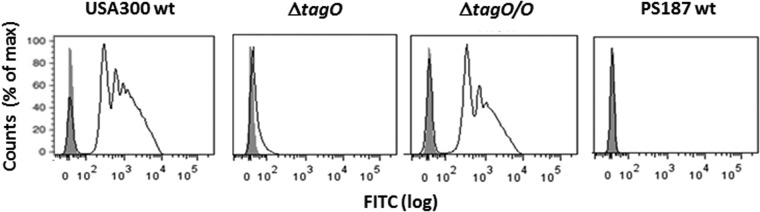 FIG 1