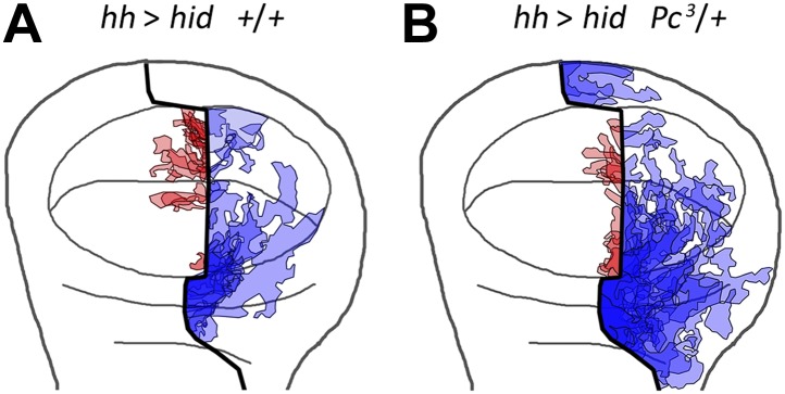 Figure 3—figure supplement 2.