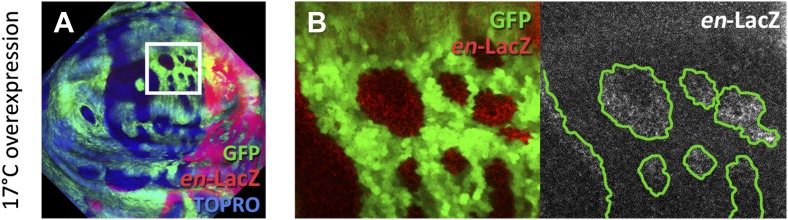 Figure 6—figure supplement 2.