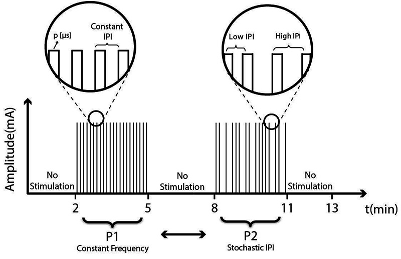 Fig 2.