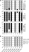 F<sc>igure</sc> 3.—