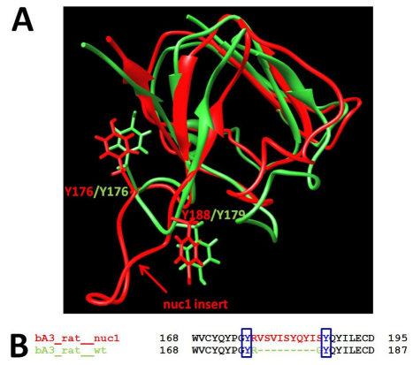 Fig. 11.