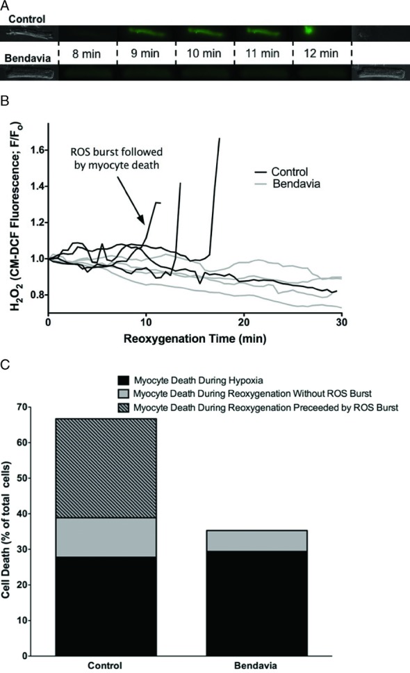 Figure 7.