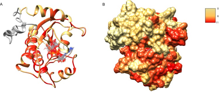 Figure 7