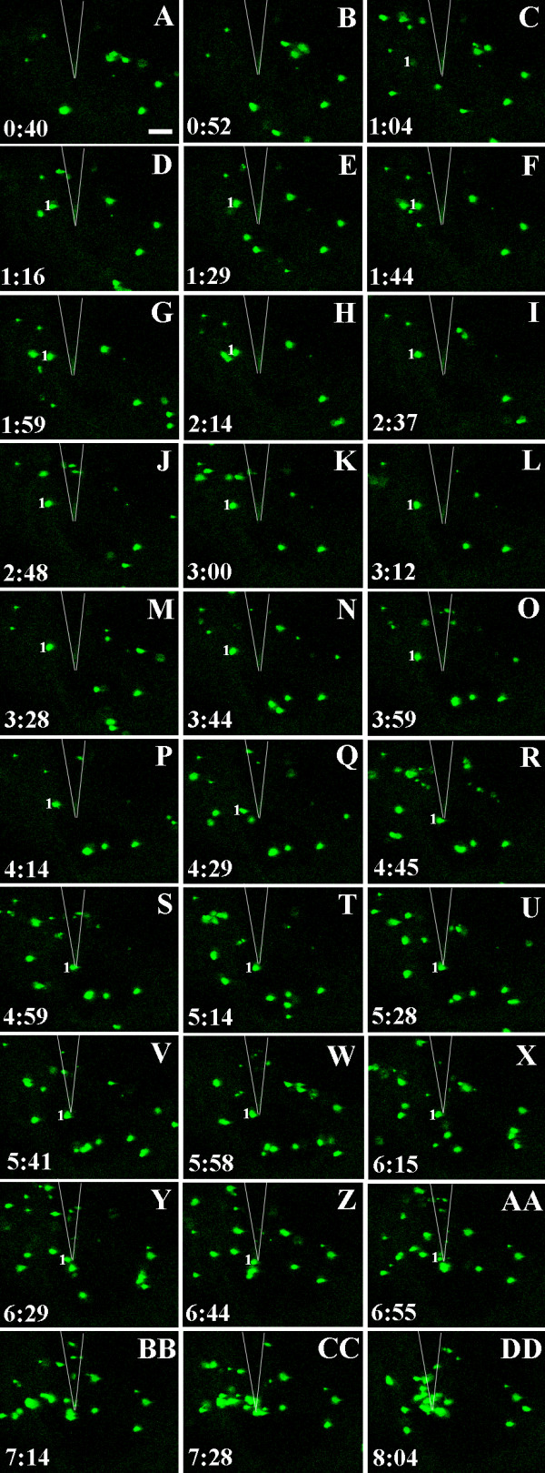 Figure 7