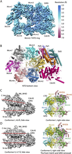 Figure 5