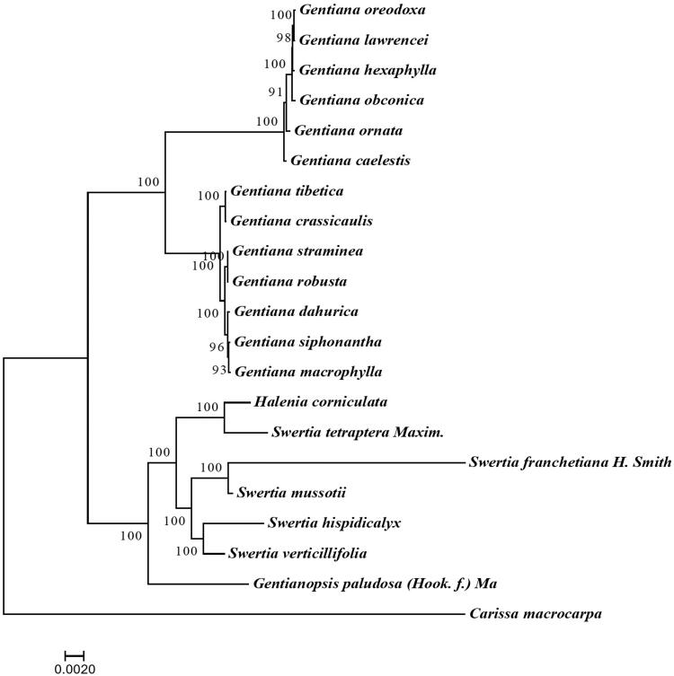 Figure 1.