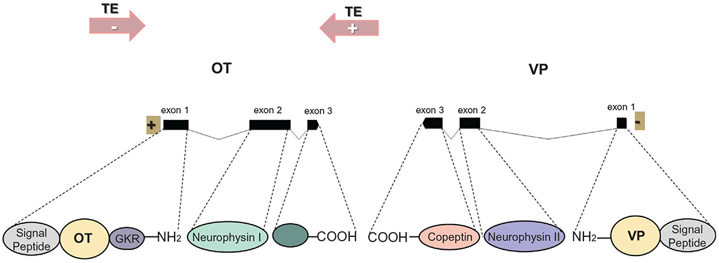 Fig. 9.1.