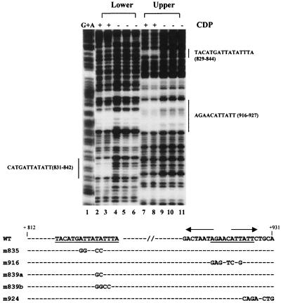 FIG. 4