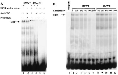 FIG. 5