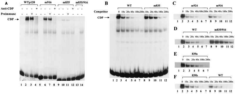 FIG. 6