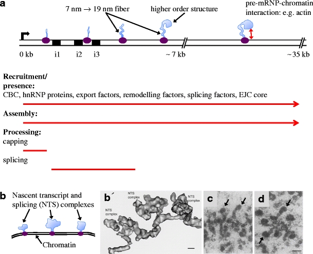 Fig. 2