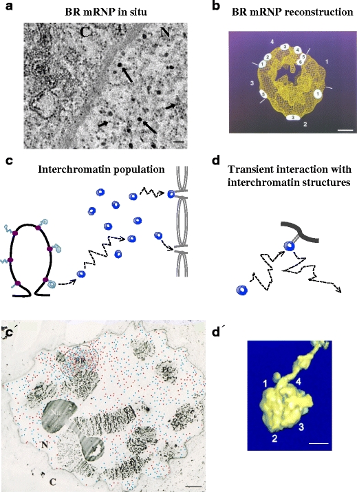 Fig. 4