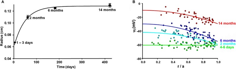 Figure 7. 