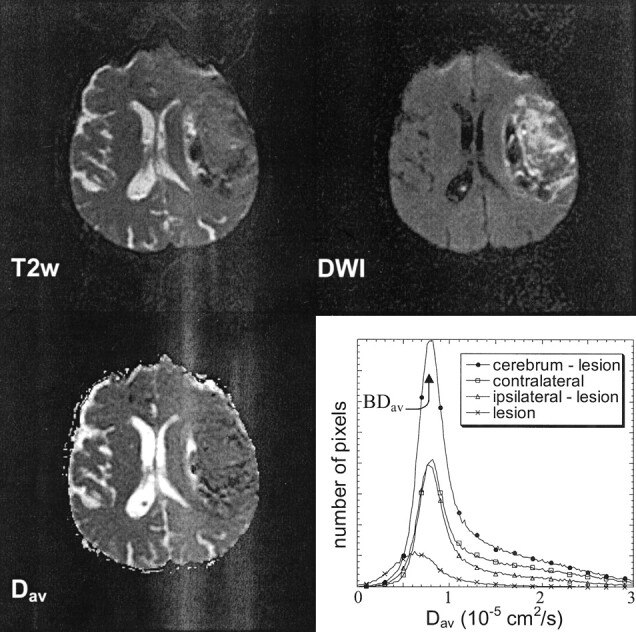 Fig 1.