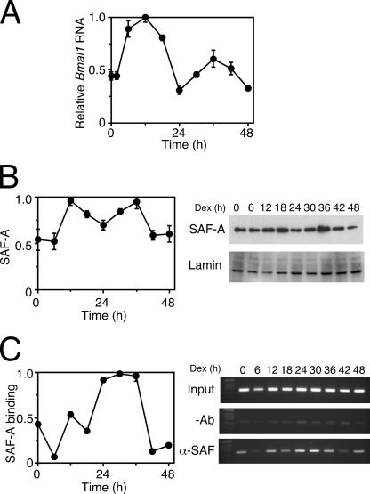 FIG. 8.