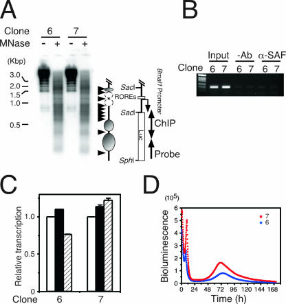 FIG. 7.