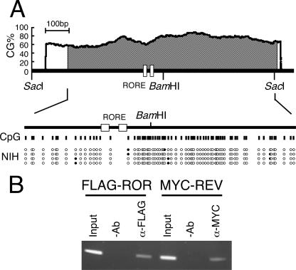 FIG. 5.