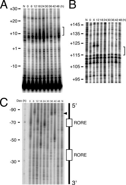 FIG. 9.