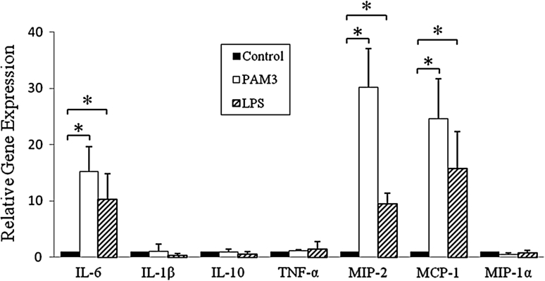 Fig. 4