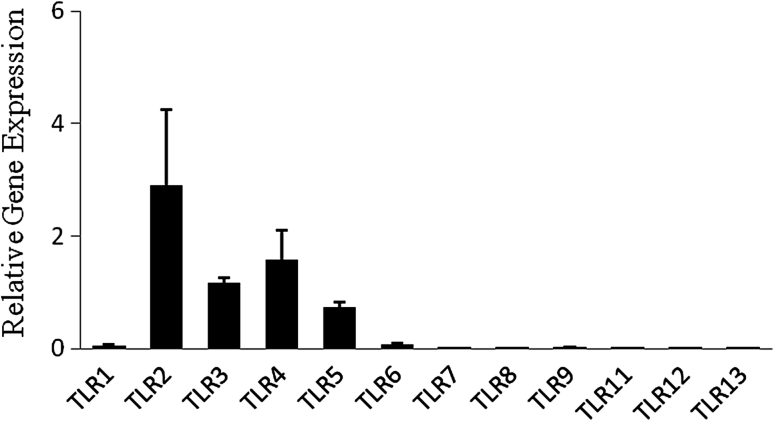 Fig. 3