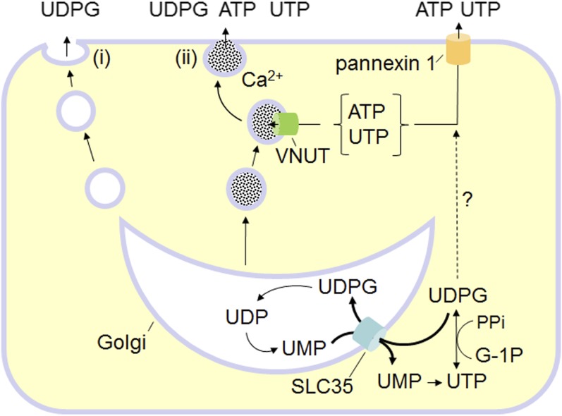 Fig. 1.