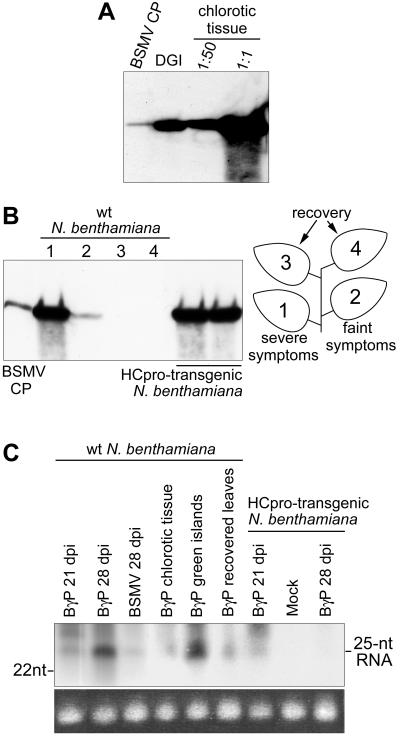 FIG. 5.