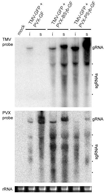 FIG. 8.