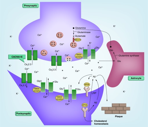 Figure 1 