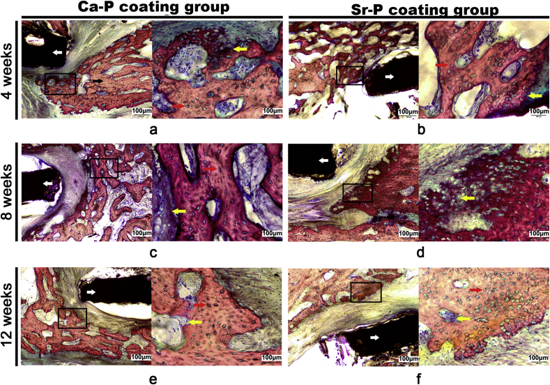 Fig. 9