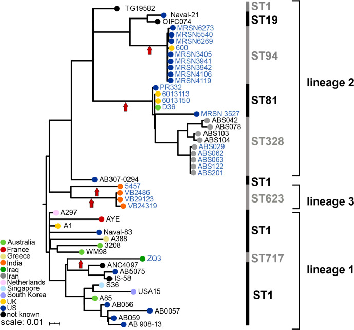 Fig. 4.