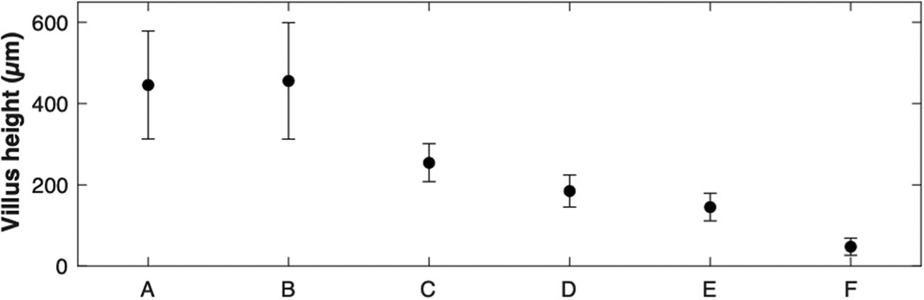 Fig. 10.