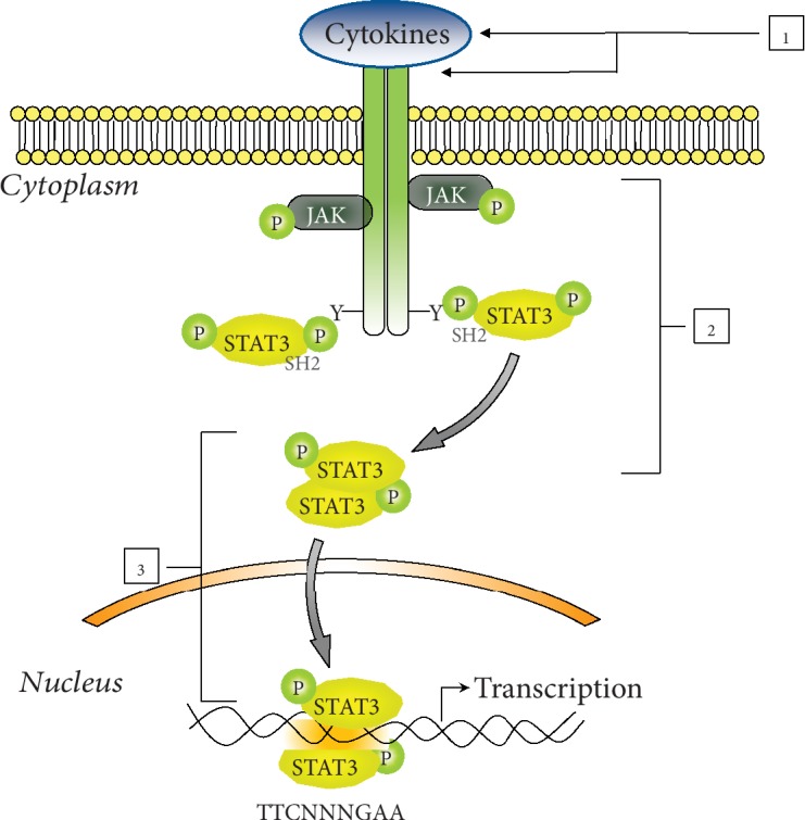 Figure 2