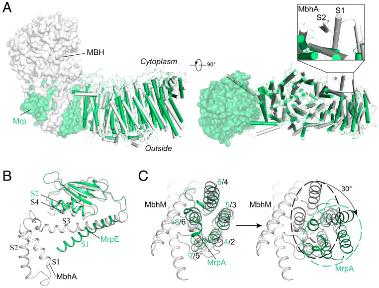 Fig. 2.