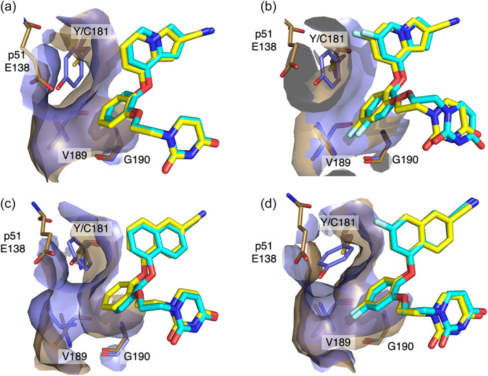 FIGURE 3