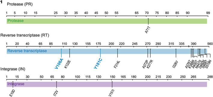 FIGURE 1