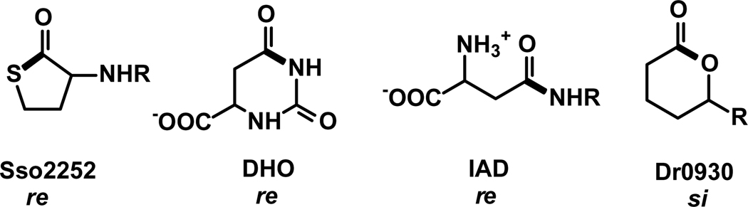 Figure 8