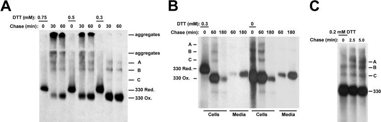 FIGURE 1.