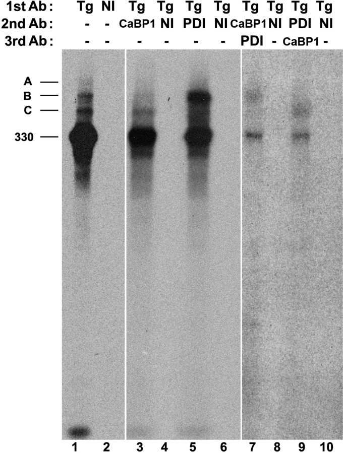 FIGURE 7.